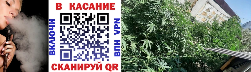 Где купить наркоту Новозыбков БУТИРАТ Гашиш Конопля