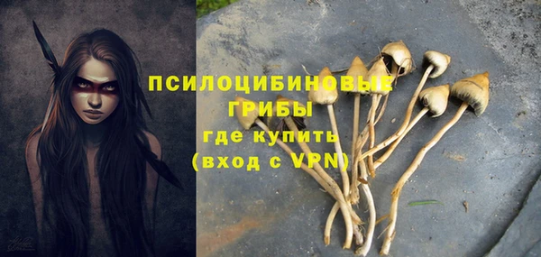 эйфоретик Бугульма