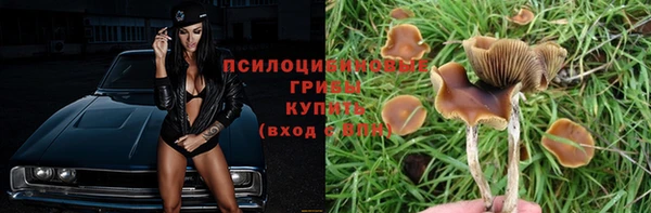 jwh Бронницы