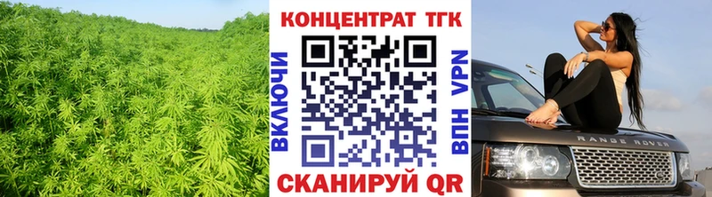 ТГК концентрат  Новозыбков 